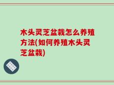 木头灵芝盆栽怎么养殖方法(如何养殖木头灵芝盆栽)