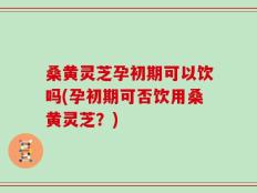 桑黄灵芝孕初期可以饮吗(孕初期可否饮用桑黄灵芝？)