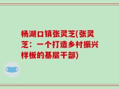 杨湖口镇张灵芝(张灵芝：一个打造乡村振兴样板的基层干部)