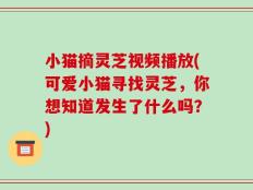 小猫摘灵芝视频播放(可爱小猫寻找灵芝，你想知道发生了什么吗？)