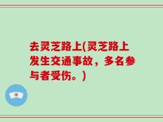 去灵芝路上(灵芝路上发生交通事故，多名参与者受伤。)