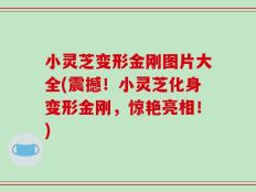 小灵芝变形金刚图片大全(震撼！小灵芝化身变形金刚，惊艳亮相！)