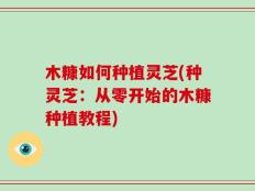 木糠如何种植灵芝(种灵芝：从零开始的木糠种植教程)