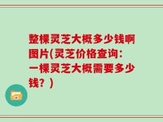 整棵灵芝大概多少钱啊图片(灵芝价格查询：一棵灵芝大概需要多少钱？)