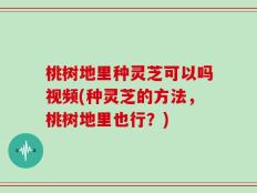 桃树地里种灵芝可以吗视频(种灵芝的方法，桃树地里也行？)