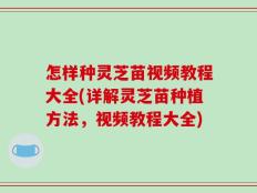 怎样种灵芝苗视频教程大全(详解灵芝苗种植方法，视频教程大全)