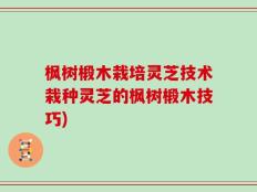 枫树椴木栽培灵芝技术栽种灵芝的枫树椴木技巧)