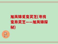 旭凤锦觅变灵芝(寻找变异灵芝——旭凤锦探秘)
