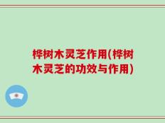 桦树木灵芝作用(桦树木灵芝的功效与作用)
