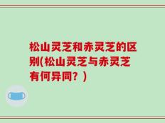 松山灵芝和赤灵芝的区别(松山灵芝与赤灵芝有何异同？)