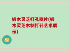 椴木灵芝打孔图片(椴木灵芝木制打孔艺术展示)