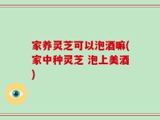 家养灵芝可以泡酒嘛(家中种灵芝 泡上美酒)