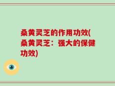 桑黄灵芝的作用功效(桑黄灵芝：强大的保健功效)