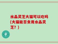 水晶灵芝大猫可以吃吗(大猫能否食用水晶灵芝？)