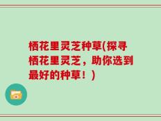 栖花里灵芝种草(探寻栖花里灵芝，助你选到最好的种草！)