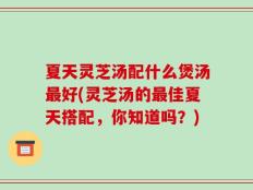 夏天灵芝汤配什么煲汤最好(灵芝汤的最佳夏天搭配，你知道吗？)