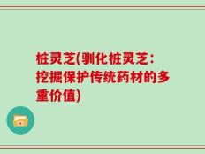 桩灵芝(驯化桩灵芝：挖掘保护传统药材的多重价值)