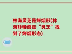 林海灵芝是烤烟形(林海珍稀蘑菇“灵芝”找到了烤烟形态)