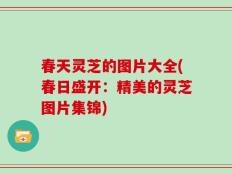 春天灵芝的图片大全(春日盛开：精美的灵芝图片集锦)