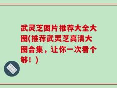 武灵芝图片推荐大全大图(推荐武灵芝高清大图合集，让你一次看个够！)