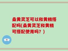 桑黄灵芝可以和黄精搭配吗(桑黄灵芝和黄精可搭配使用吗？)