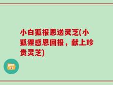 小白狐报恩送灵芝(小狐狸感恩回报，献上珍贵灵芝)