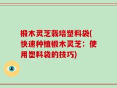 椴木灵芝栽培塑料袋(快速种植椴木灵芝：使用塑料袋的技巧)