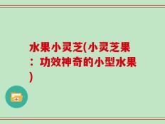 水果小灵芝(小灵芝果：功效神奇的小型水果)