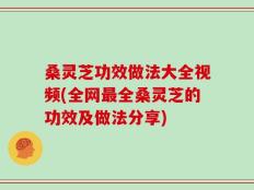 桑灵芝功效做法大全视频(全网最全桑灵芝的功效及做法分享)