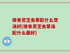 排骨灵芝虫草配什么煲汤好(排骨灵芝虫草汤配什么最好)