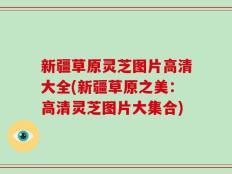 新疆草原灵芝图片高清大全(新疆草原之美：高清灵芝图片大集合)