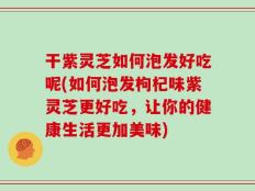 干紫灵芝如何泡发好吃呢(如何泡发枸杞味紫灵芝更好吃，让你的健康生活更加美味)