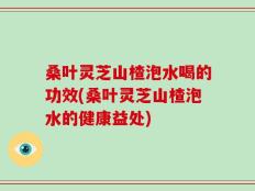 桑叶灵芝山楂泡水喝的功效(桑叶灵芝山楂泡水的健康益处)