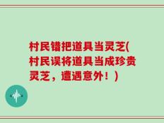村民错把道具当灵芝(村民误将道具当成珍贵灵芝，遭遇意外！)