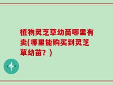 植物灵芝草幼苗哪里有卖(哪里能购买到灵芝草幼苗？)