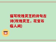 描写玫瑰灵芝的诗句古诗(玫瑰灵芝，花宝石临人间)