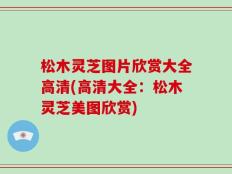 松木灵芝图片欣赏大全高清(高清大全：松木灵芝美图欣赏)