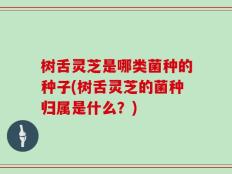 树舌灵芝是哪类菌种的种子(树舌灵芝的菌种归属是什么？)