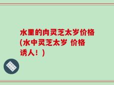 水里的肉灵芝太岁价格(水中灵芝太岁 价格诱人！)