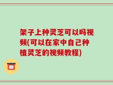 架子上种灵芝可以吗视频(可以在家中自己种植灵芝的视频教程)