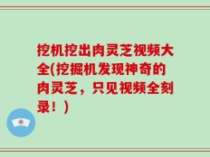 挖机挖出肉灵芝视频大全(挖掘机发现神奇的肉灵芝，只见视频全刻录！)