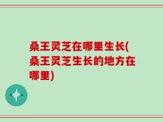 桑王灵芝在哪里生长(桑王灵芝生长的地方在哪里)