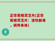 正宗葛根灵芝片(正宗葛根灵芝片：清热解毒，调养身体)