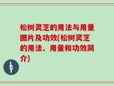 松树灵芝的用法与用量图片及功效(松树灵芝的用法、用量和功效简介)