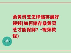 桑黄灵芝怎样储存最好视频(如何储存桑黄灵芝才能保鲜？-视频教程)