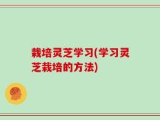 栽培灵芝学习(学习灵芝栽培的方法)