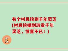 有个村民挖到千年灵芝(村民挖掘到珍贵千年灵芝，惊喜不已！)