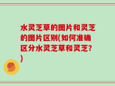 水灵芝草的图片和灵芝的图片区别(如何准确区分水灵芝草和灵芝？)