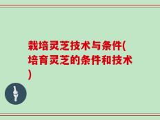 栽培灵芝技术与条件(培育灵芝的条件和技术)