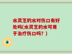 水灵芝的水对伤口有好处吗(水灵芝的水可用于治疗伤口吗？)